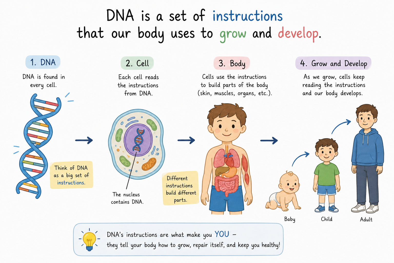 What DNA is
